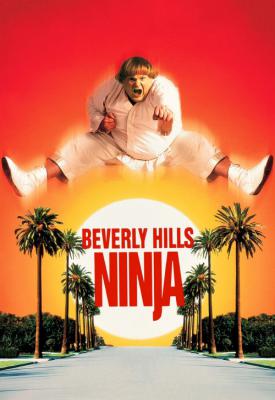 image for  Beverly Hills Ninja movie