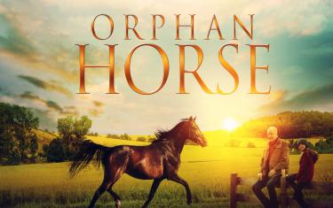 screenshoot for Orphan Horse
