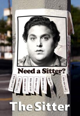 image for  The Sitter movie