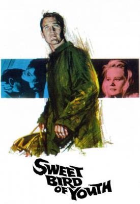 image for  Sweet Bird of Youth movie