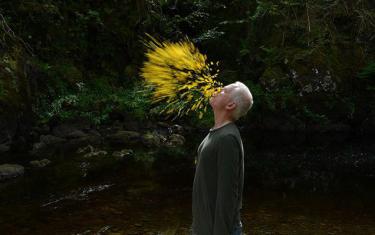 screenshoot for Rivers and Tides: Andy Goldsworthy Working with Time