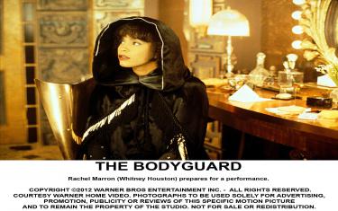 screenshoot for The Bodyguard