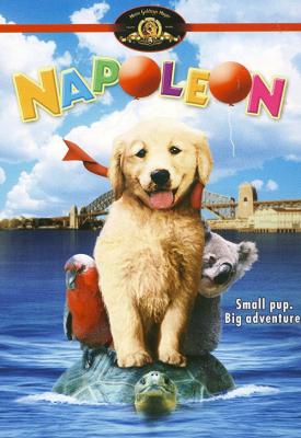 poster for Napoleon 1995