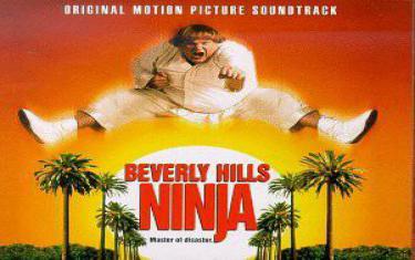 screenshoot for Beverly Hills Ninja
