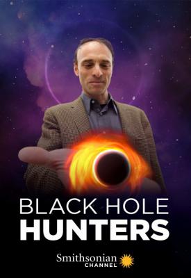 image for  Black Hole Hunters movie