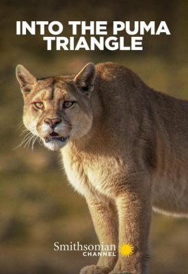 image for  Into the Puma Triangle movie