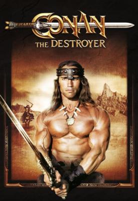 image for  Conan the Destroyer movie