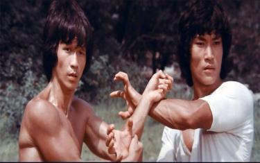 screenshoot for The Clones of Bruce Lee