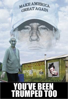 image for  You’ve Been Trumped Too movie