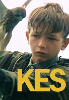 image for  Kes movie