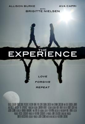 image for  The Experience movie