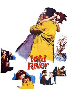 image for  Wild River movie