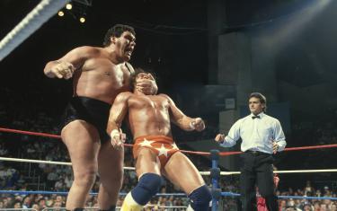 screenshoot for Andre the Giant