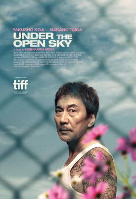 poster for Under the Open Sky 2020