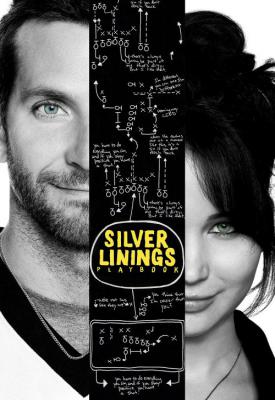 image for  Silver Linings Playbook movie