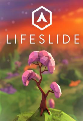 poster for Lifeslide