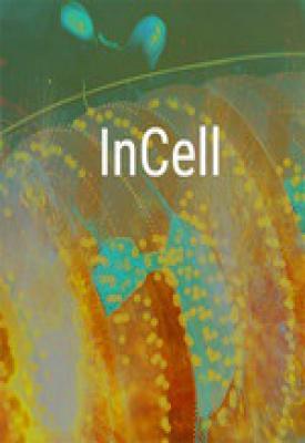 image for InCell / InCell VR game